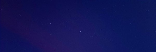 delphin__a Profile Banner