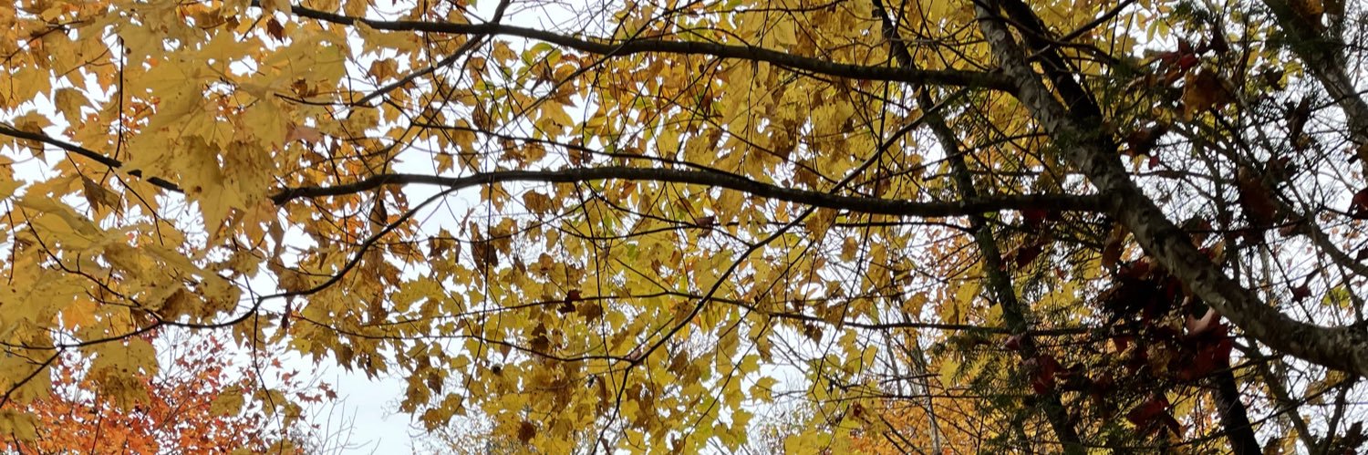 Foden 🇨🇦 banner