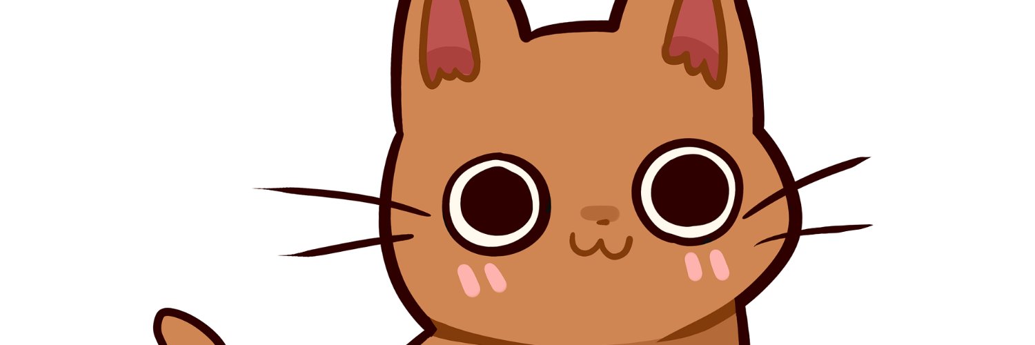 nzainulin's profile banner image