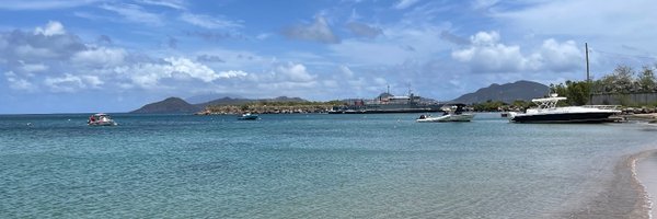 SpiderScott_ Profile Banner