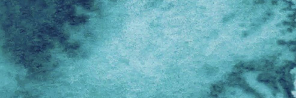 리치's banner