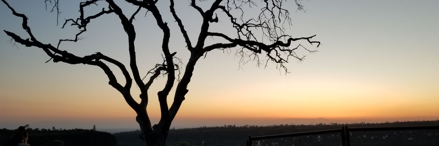 kgbchambers's profile banner image