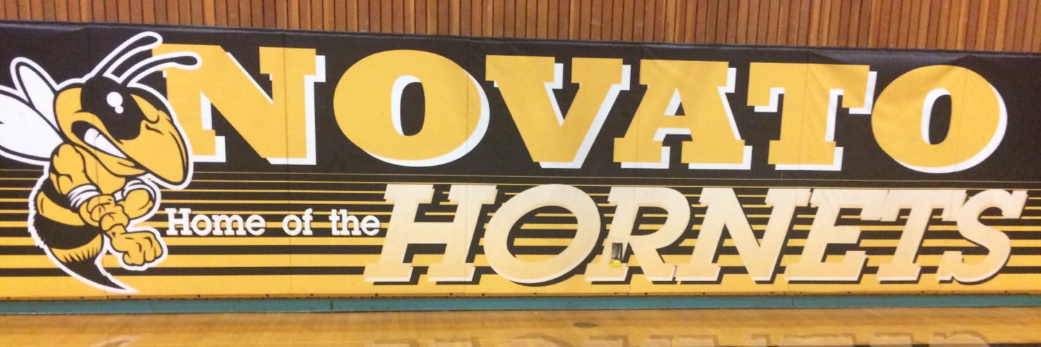 NovatoSwarm's profile banner image
