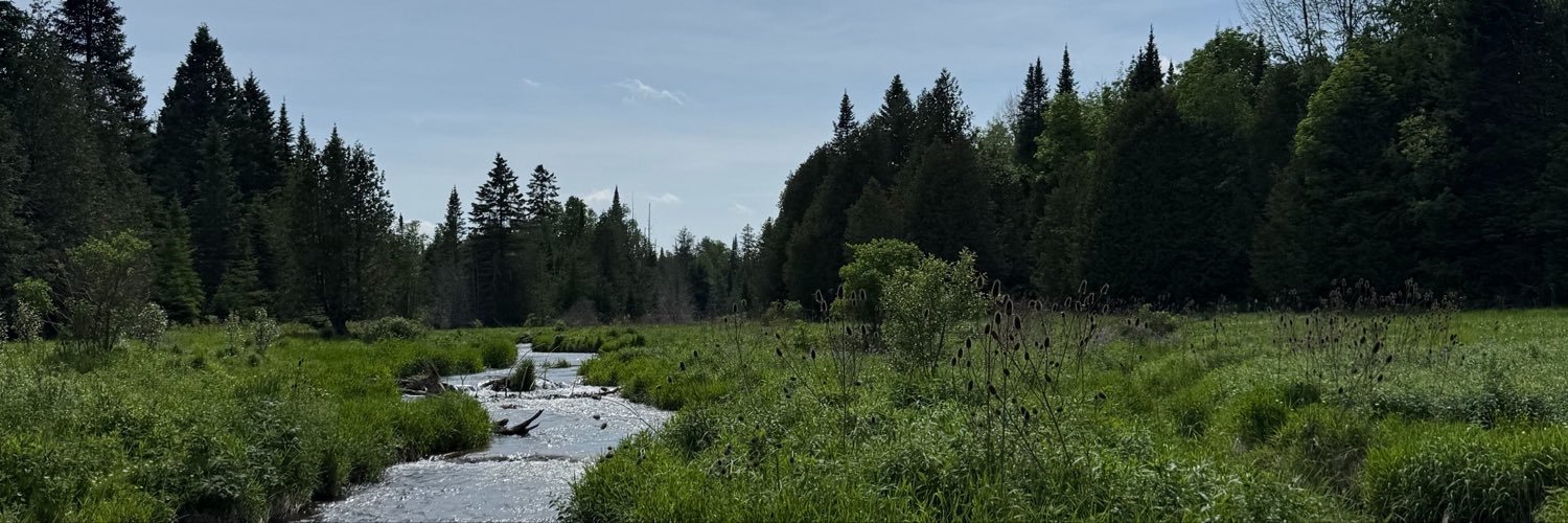 julbm2's profile banner image