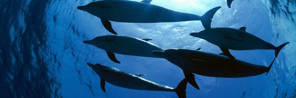 UCSBenioffOcean Profile Banner