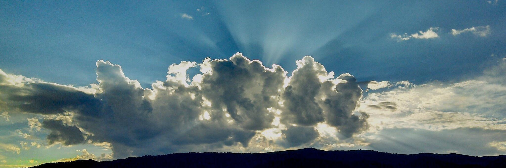 Melissa Powel banner