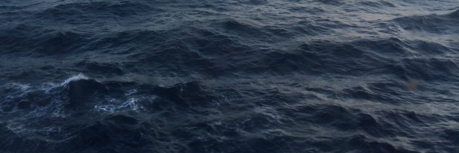 Daniel Miranda banner