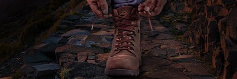 woodlandbd's profile banner image