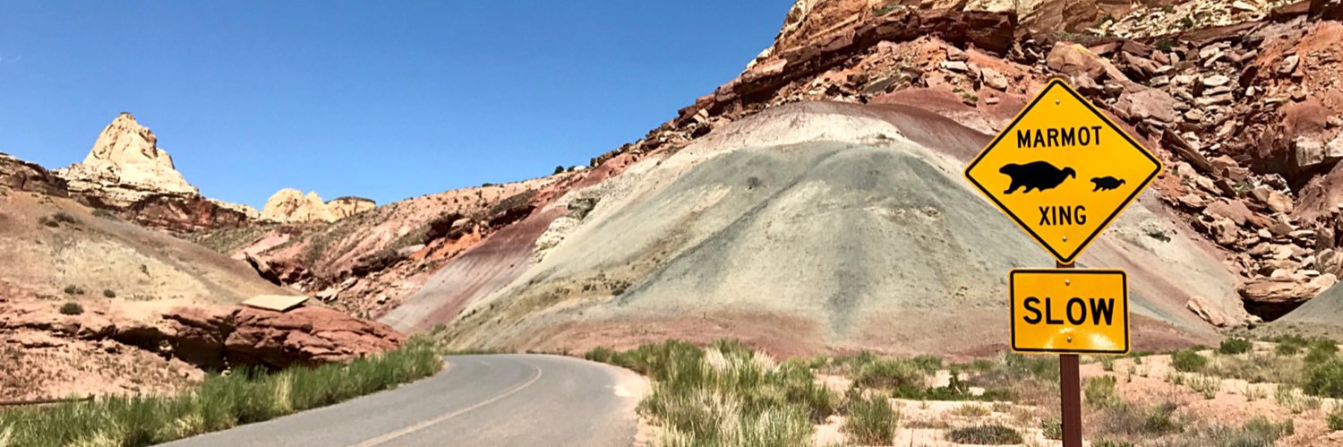 Stephanie Perry banner