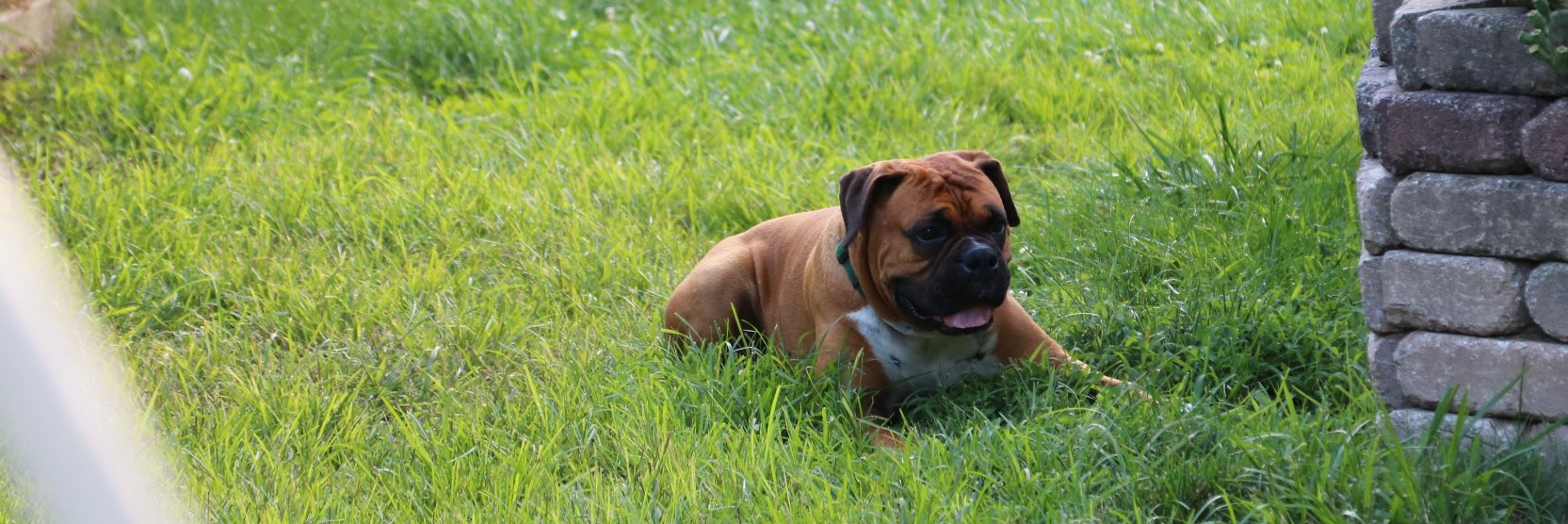 Brian Surowiec banner