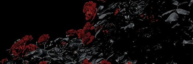 casadirosaa's profile banner image