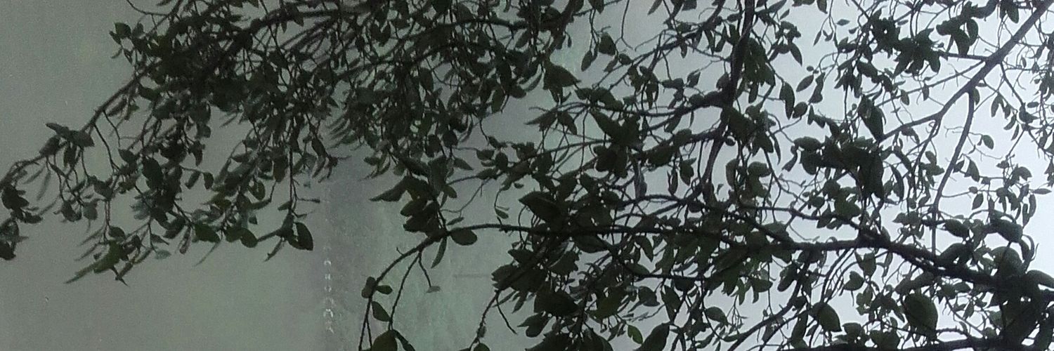 PAnandsinh's profile banner image