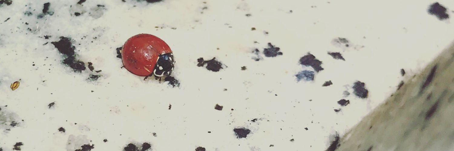 sionolen's profile banner image