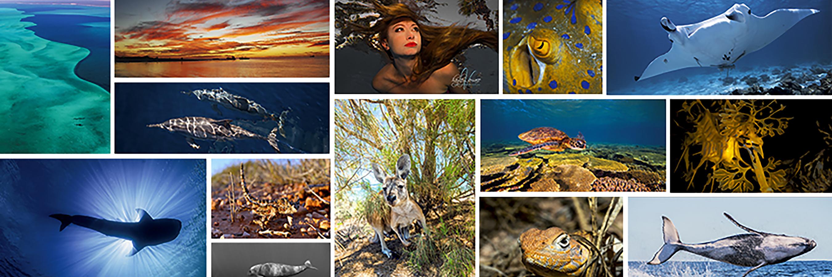 Migration_Media's profile banner image
