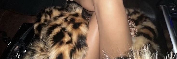 flowermeint's profile banner image