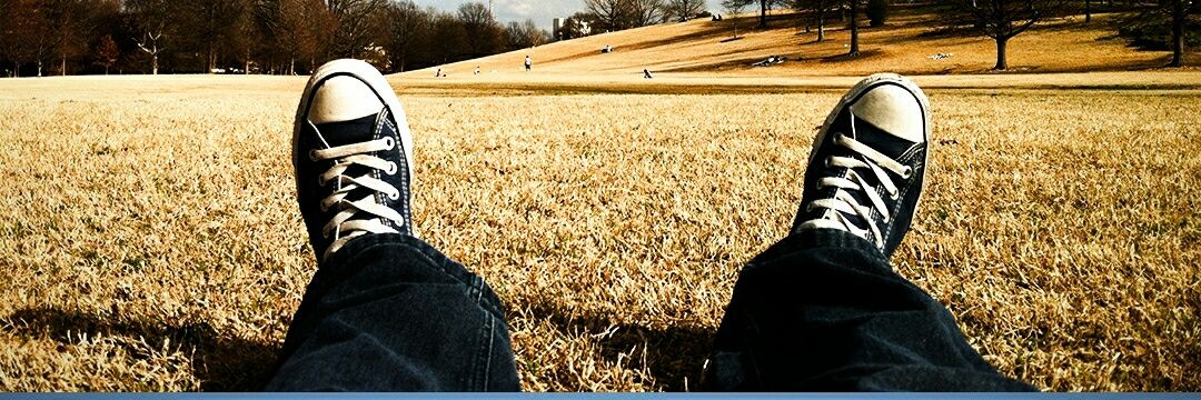 pamancingur's profile banner image