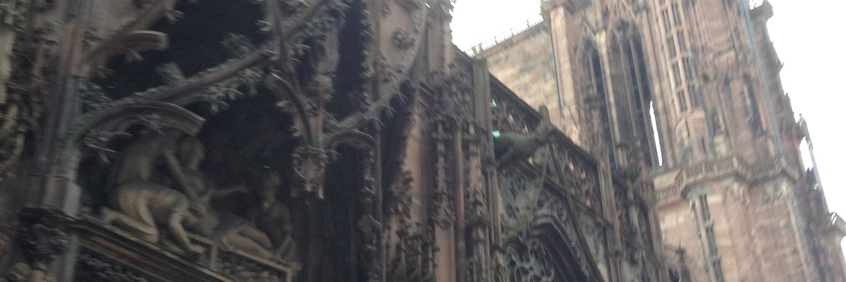 JijianLi's profile banner image