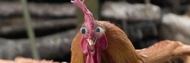 Elline Vezcarra banner