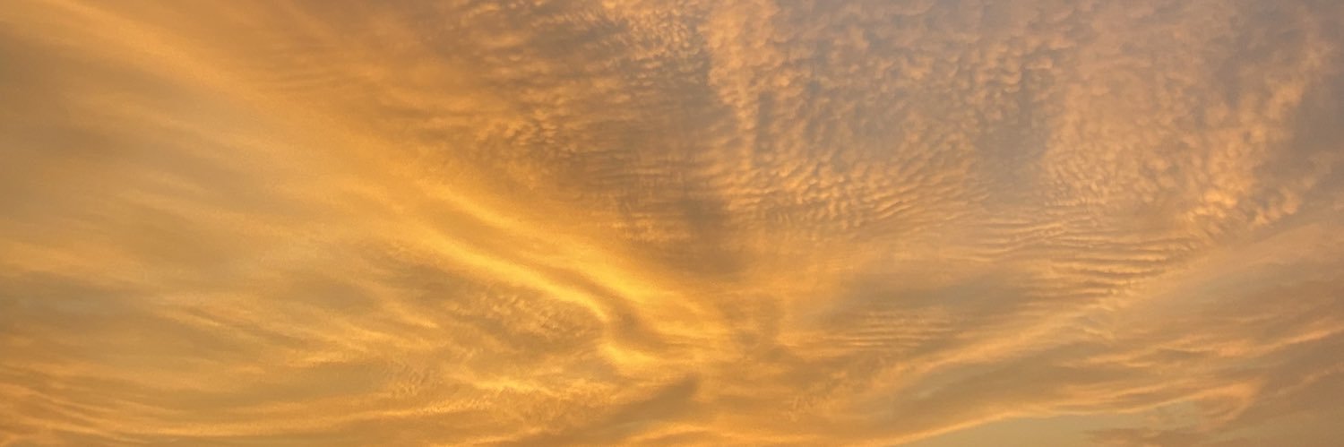 LegallyBusty's profile banner image