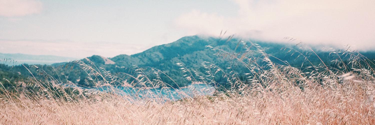 iamsamevans's profile banner image