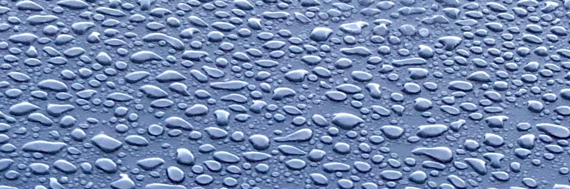 P. O'Tato 🥔 banner