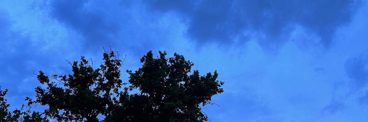 H A D I S banner