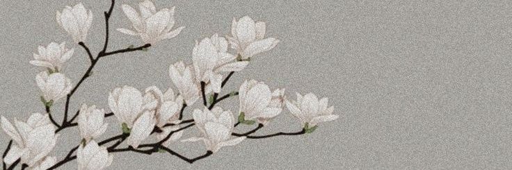 ƒeng🌙 banner