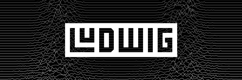 lodewikkus's profile banner image