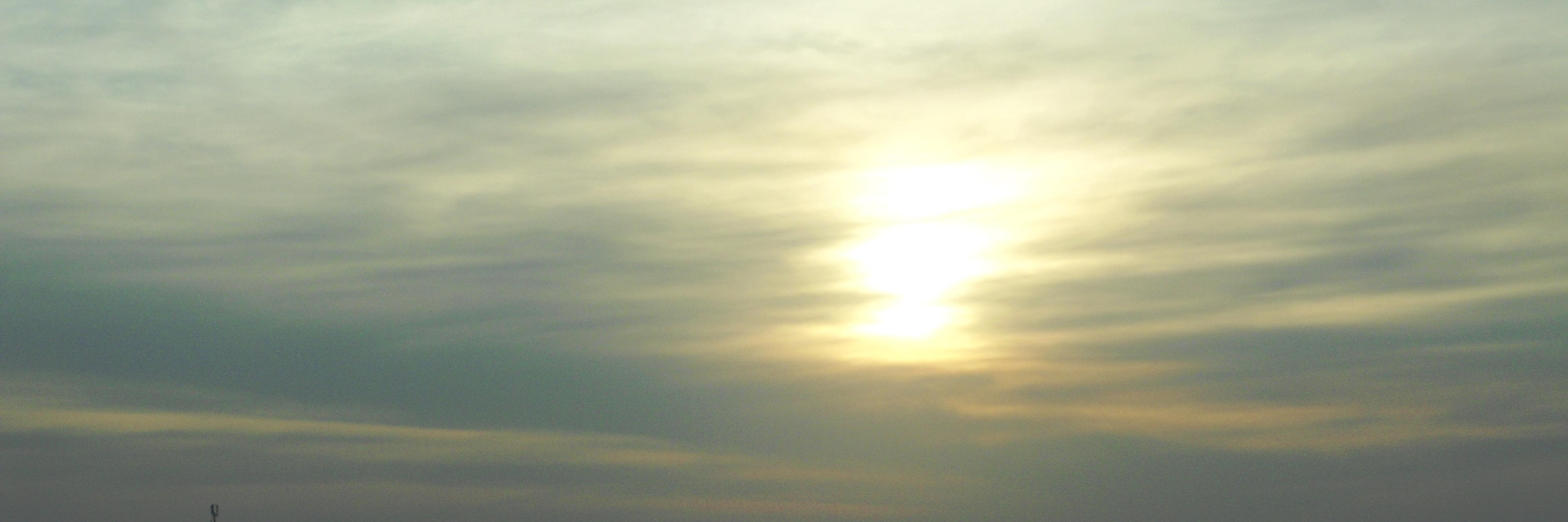 Fábio Muri banner