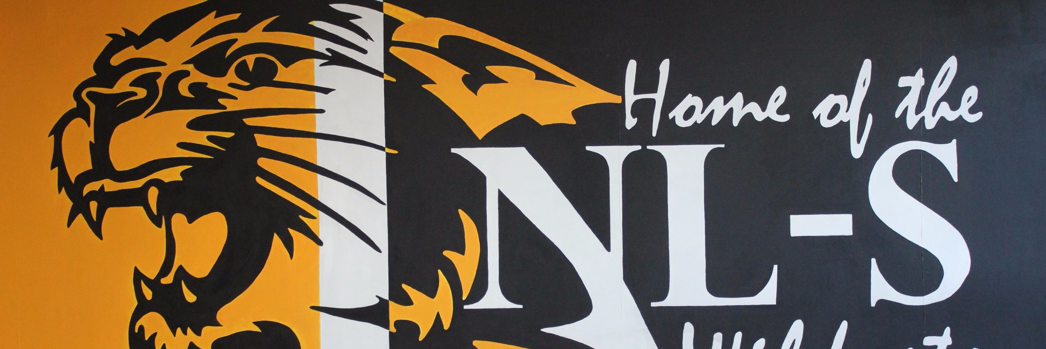 NL-S School District 345 banner