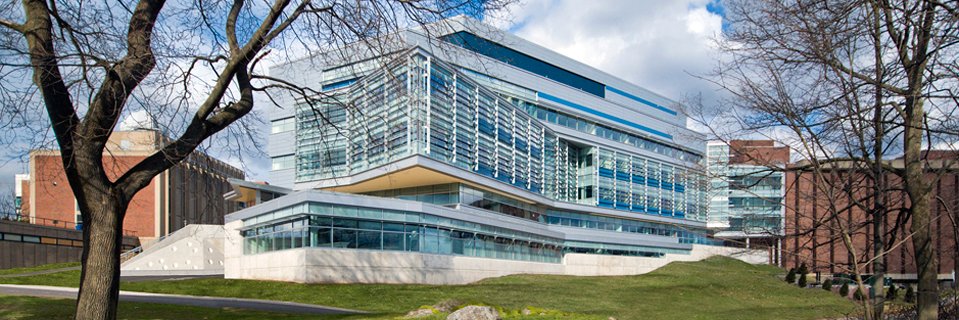 Brandeis Research banner