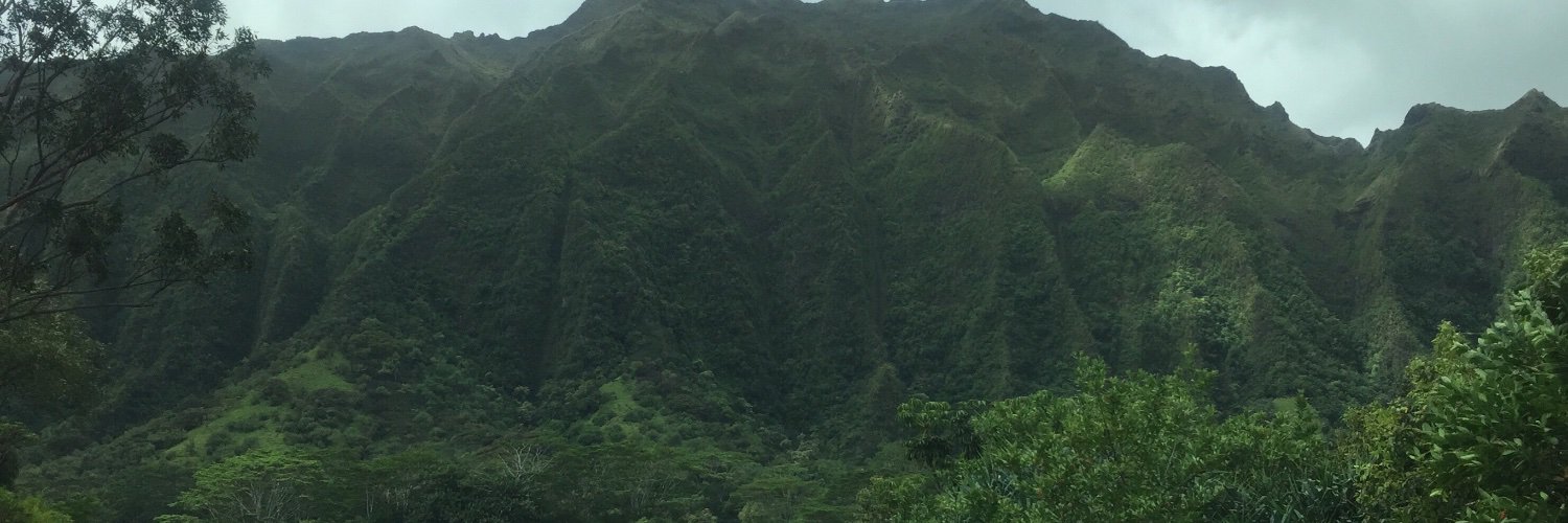 _lhvx's profile banner image