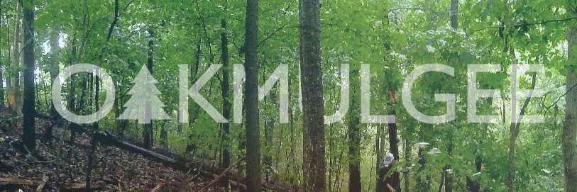 oakmulgee's profile banner image