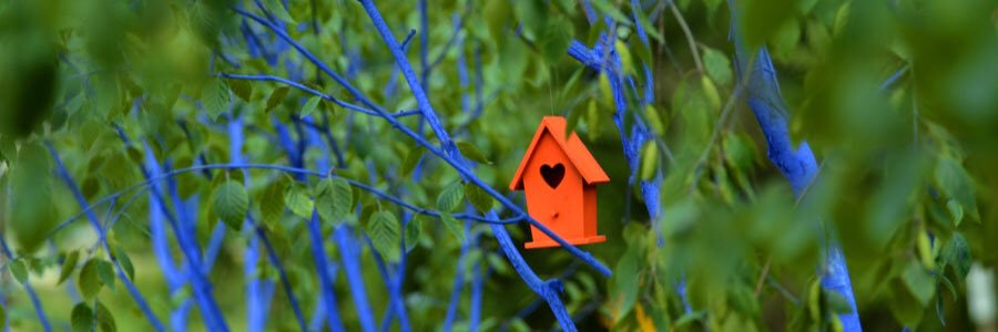 BlueTreeHR's profile banner image