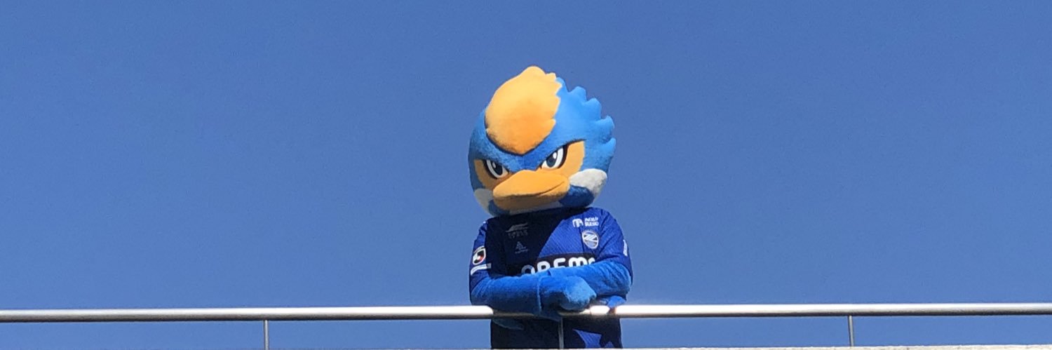 TheSafetyFirst's profile banner image