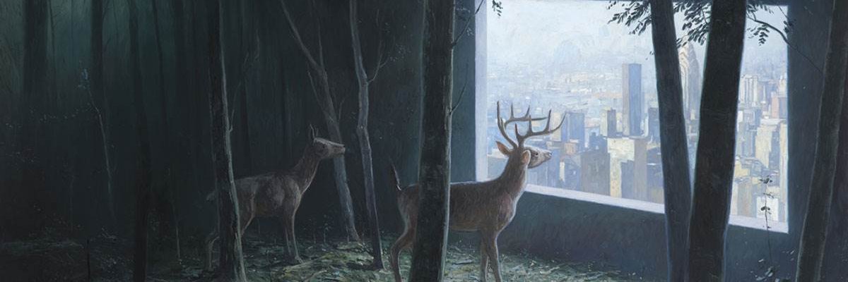 pcruzmas's profile banner image