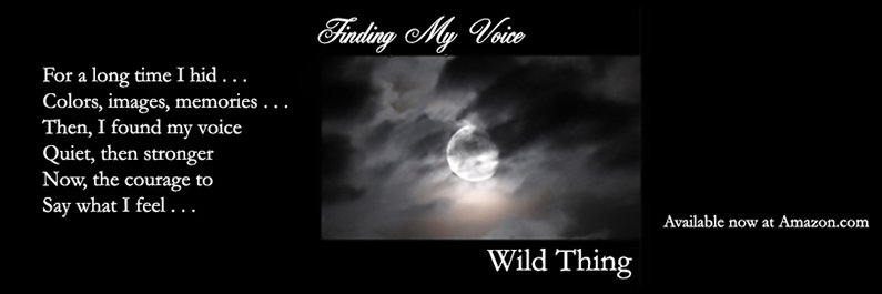WildThing4040's profile banner image