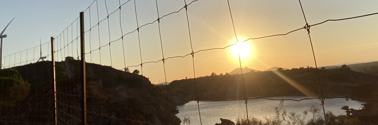 FcavidalV's profile banner image