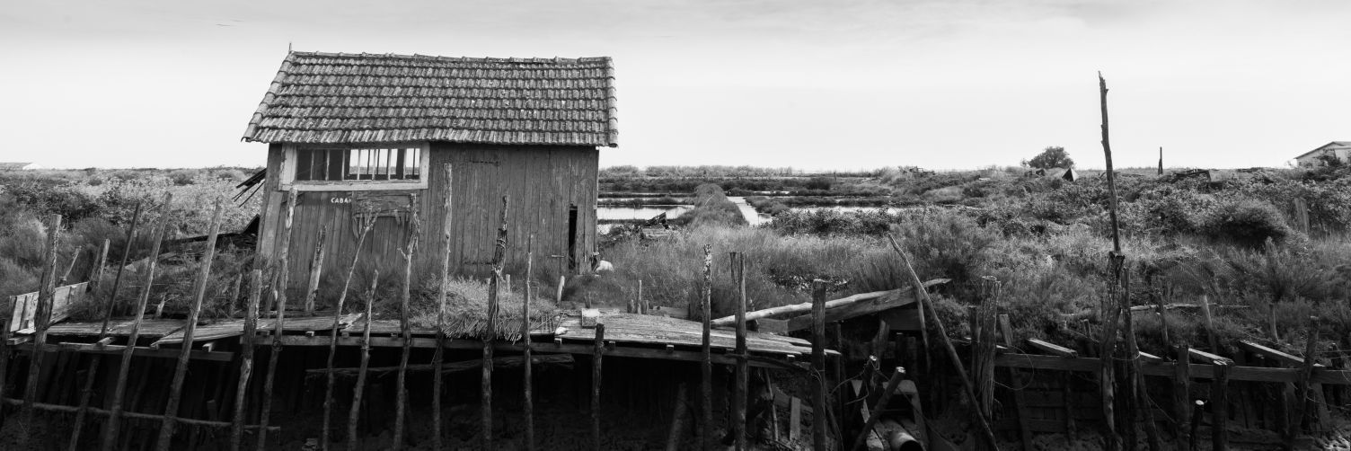 Misterfresch's profile banner image