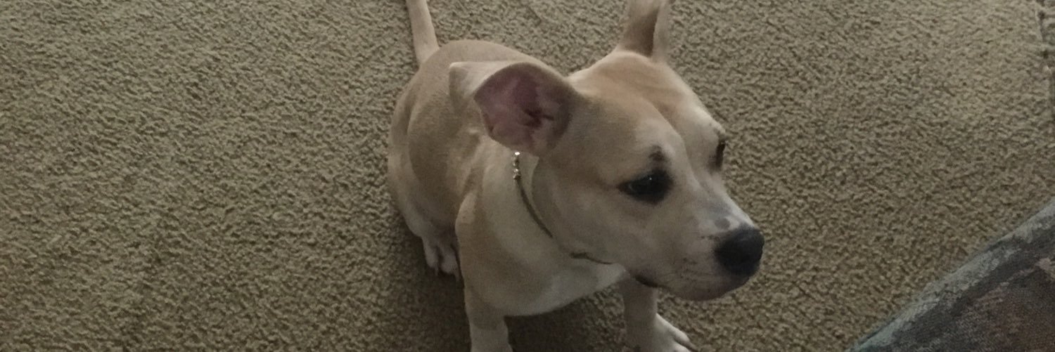 tellexs1's profile banner image