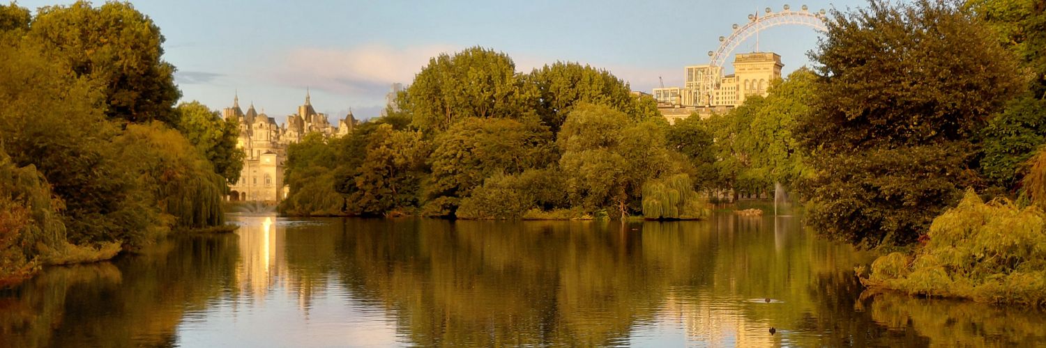 alba blustein banner