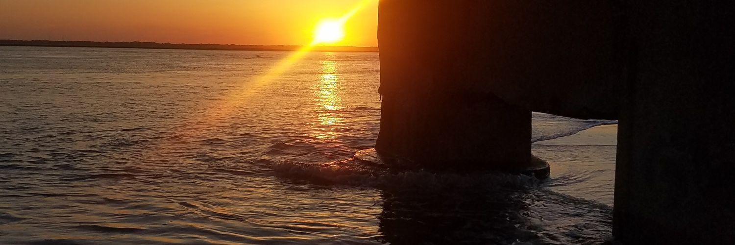 urbanphoenixfox's profile banner image