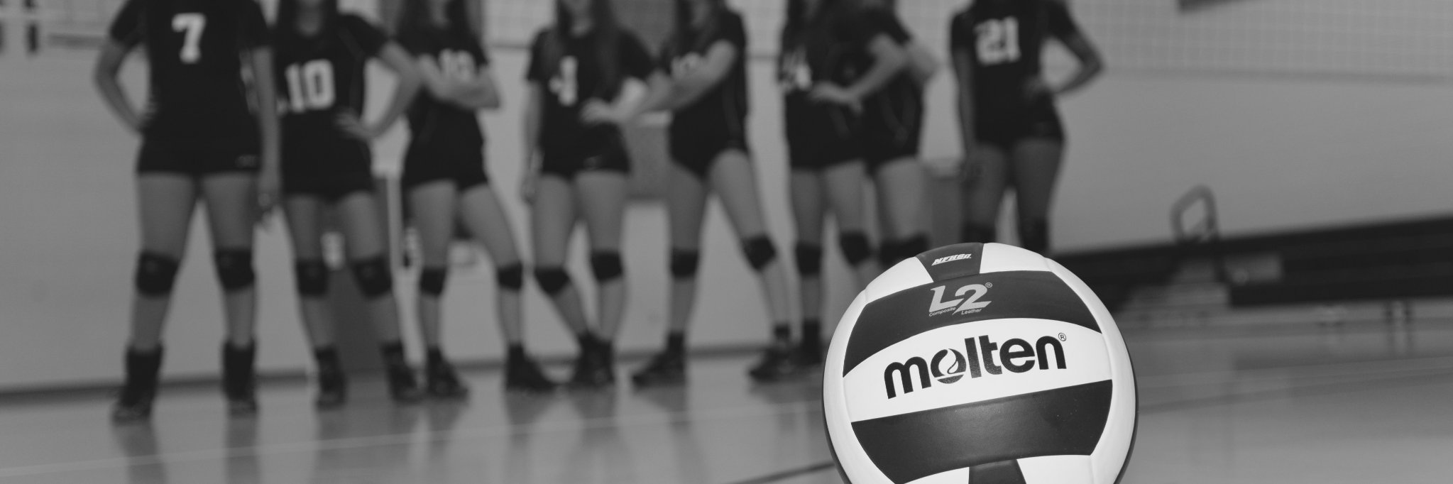 MansfieldVBClub's profile banner image