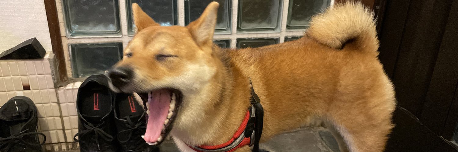 しろくま banner