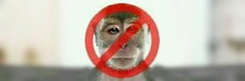 dgnmonke's profile banner image