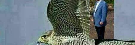 zz40001's profile banner image