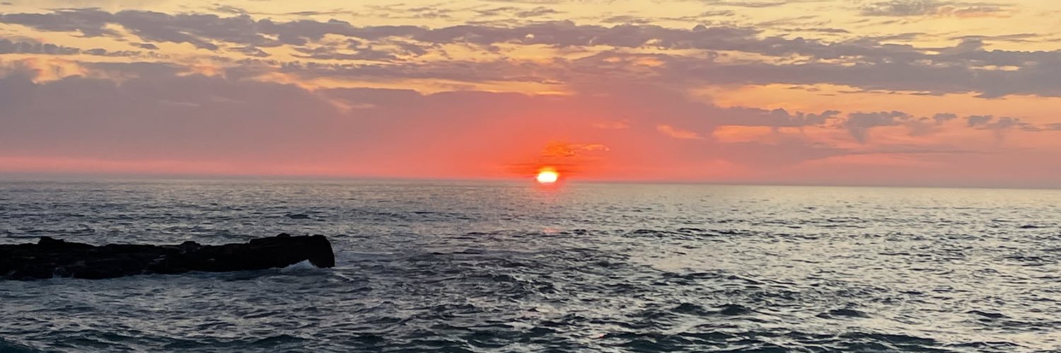 Alexandre Martins banner