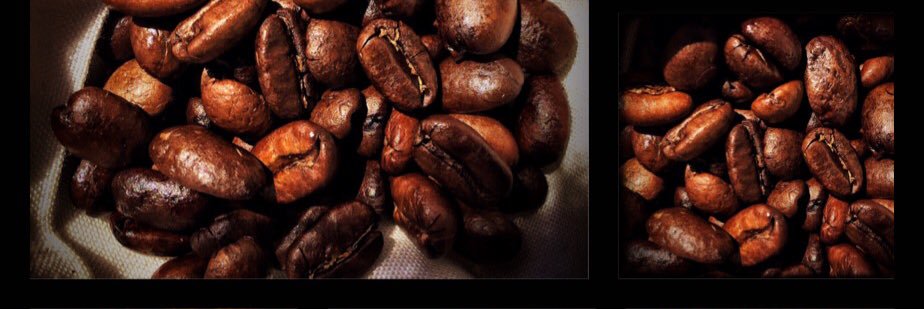 BlueOakCoffee banner