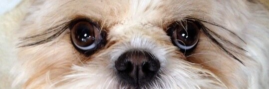 fettsy10's profile banner image
