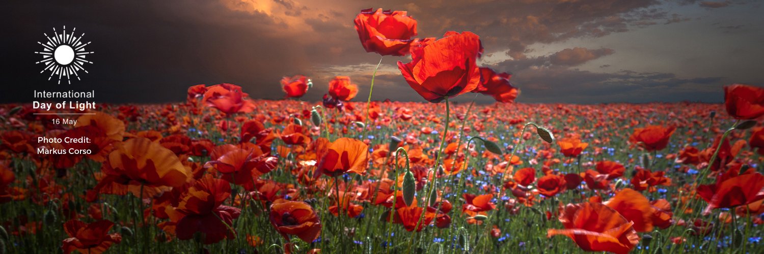 Lucia Cavigli banner